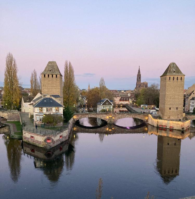 Appartement 2P Strasbourg Centre - Homme De Fer Dış mekan fotoğraf