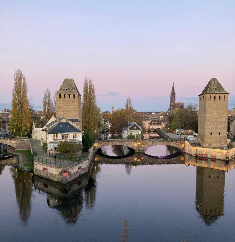 Appartement 2P Strasbourg Centre - Homme De Fer Dış mekan fotoğraf